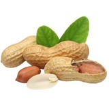 Fusion Fusion Arachideolie - 5 liter Fusion Fusion Arachideolie - 5 liter