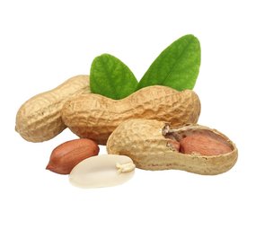 Fusion Fusion Arachideolie - 5 liter Fusion Fusion Arachideolie - 5 liter