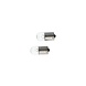 Carpoint Carpoint Premium Autolampen 12V R5W 2 Stuks Carpoint Carpoint Premium Autolampen 12V R5W 2 Stuks