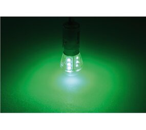 Talamex Talamex - Ledlamp - 0.9W - 10-30V - Groen - 51 lm - BAY15D Talamex Talamex - Ledlamp - 0.9W - 10-30V - Groen - 51 lm - BAY15D