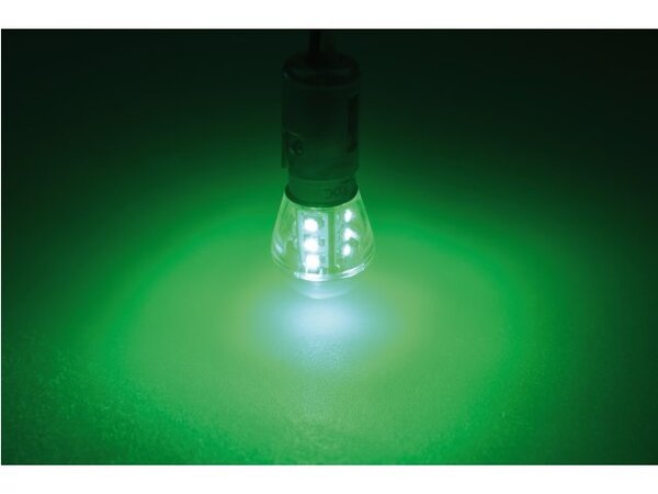 Talamex Talamex - Ledlamp - 0.9W - 10-30V - Groen - 51 lm - BAY15D Talamex Talamex - Ledlamp - 0.9W - 10-30V - Groen - 51 lm - BAY15D