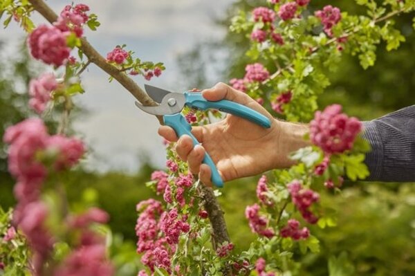 Gardena Gardena - Snoeischaar EasyCut - Bypass-snede - 20 mm snoeidiameter