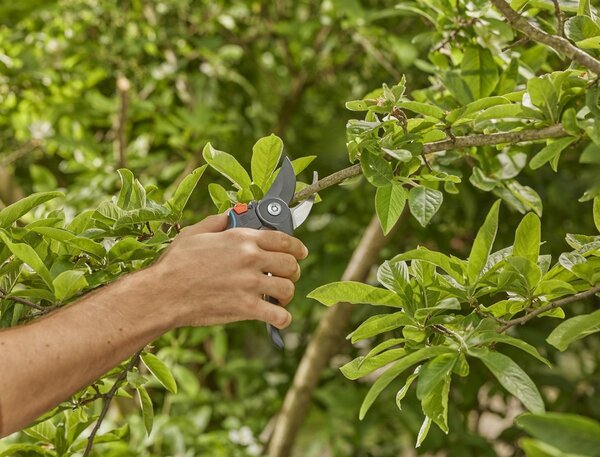 Gardena Gardena PremiumCut Pro Fresh Wood Snoeischaar - Bypass Tuinsnoeischaar - 24 mm - Voor Verse Takken en Jong Hout
