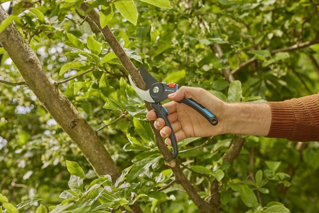 Gardena Gardena PremiumCut Pro Fresh Wood Snoeischaar - Bypass Tuinsnoeischaar - 24 mm - Voor Verse Takken en Jong Hout