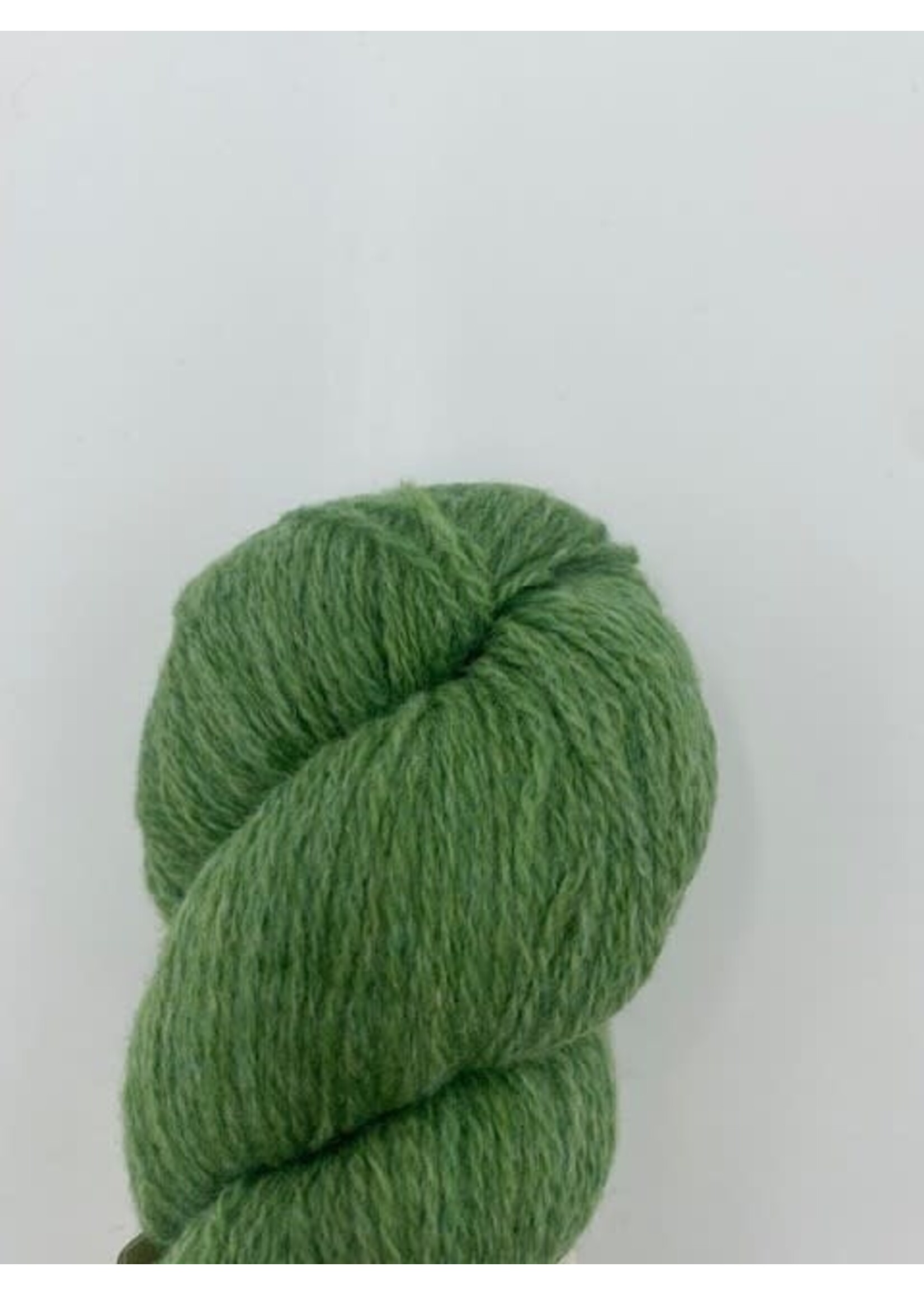 Biches et Bûches Le Petit Lambswool 50 gr Spring Green