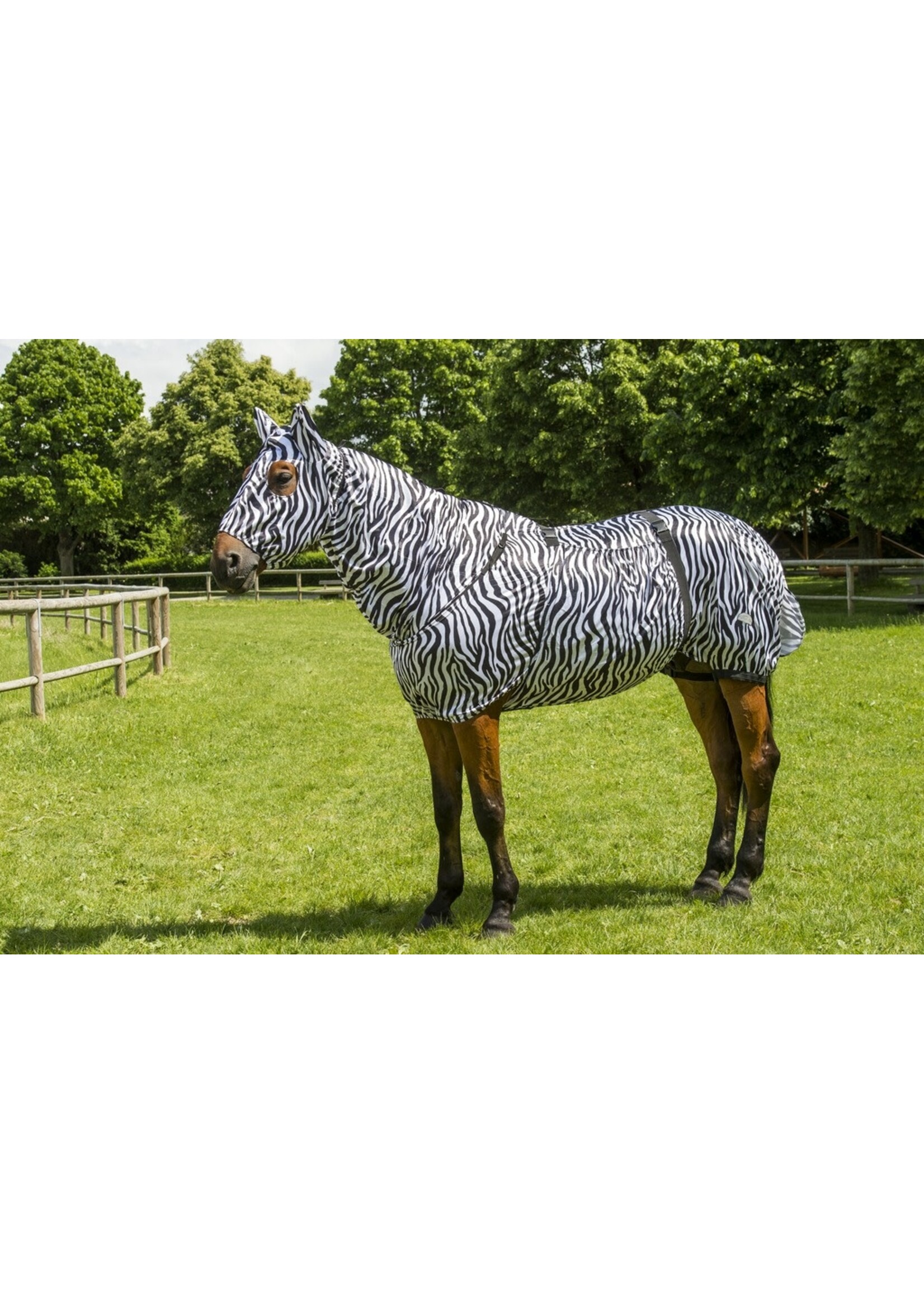 EquiThème ET Eczeemdeken zebra