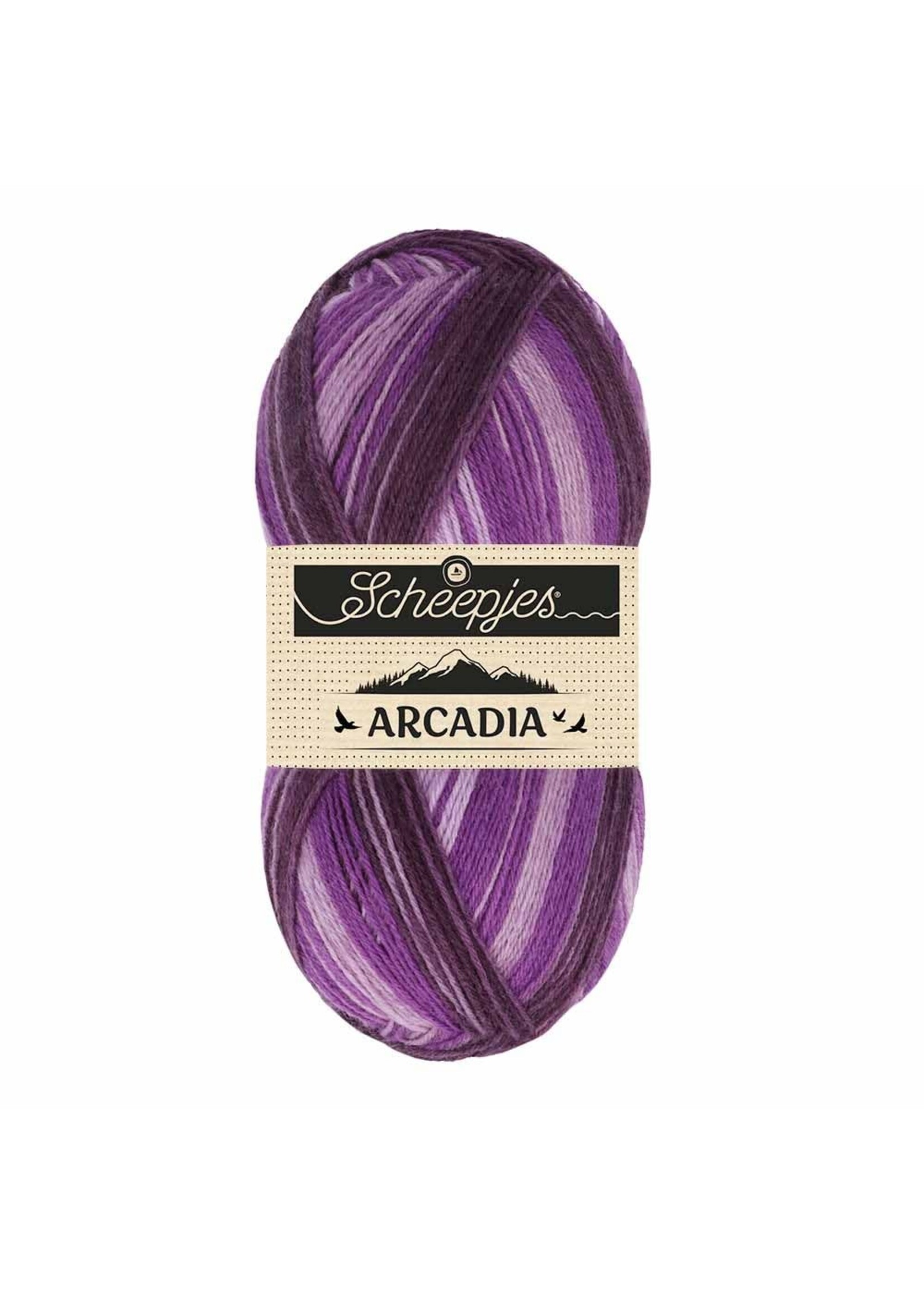 Scheepjes Arcadia Scheepjes erica 100 gr nr.901