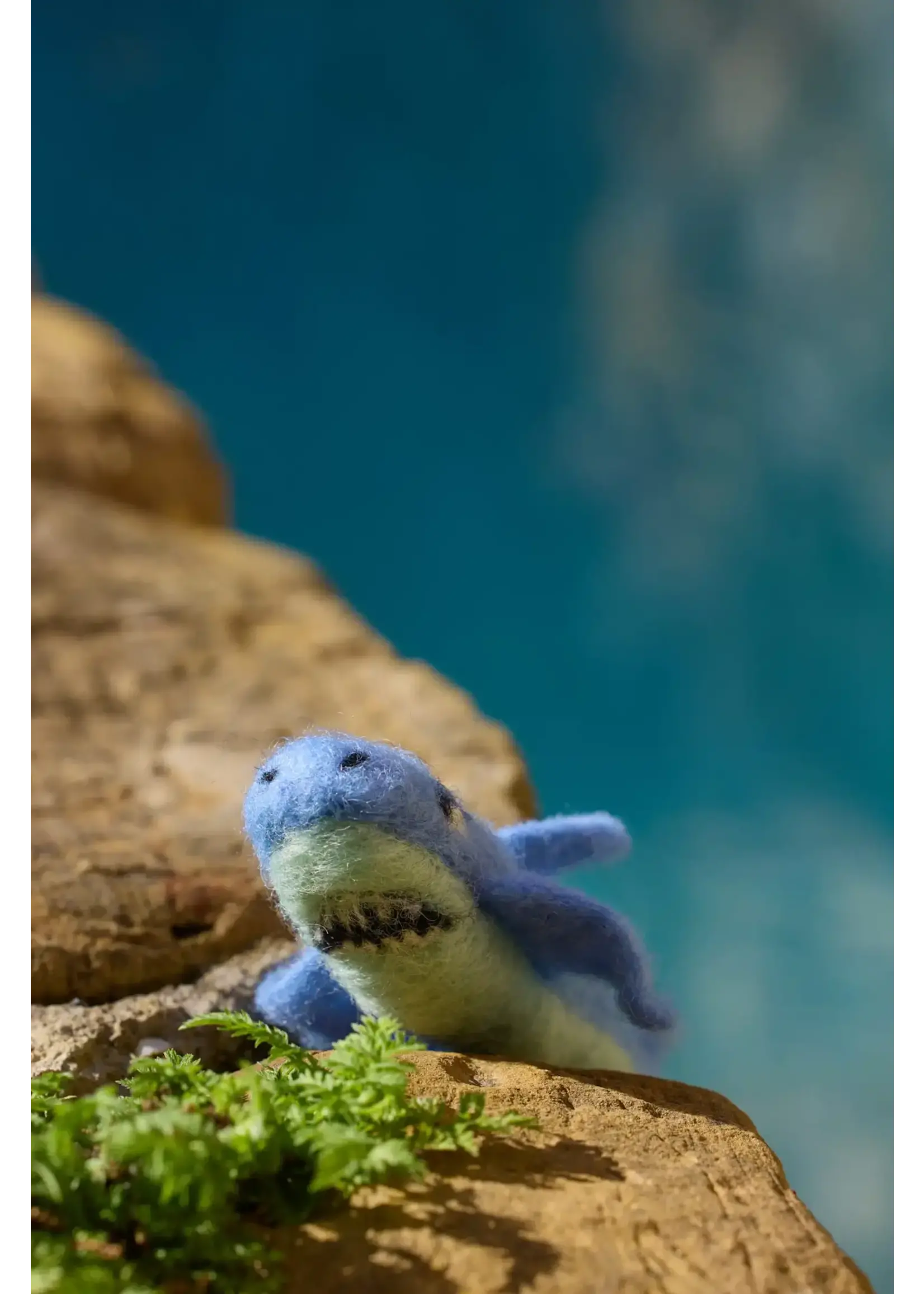 Viltpakket Sealife -  Starters set