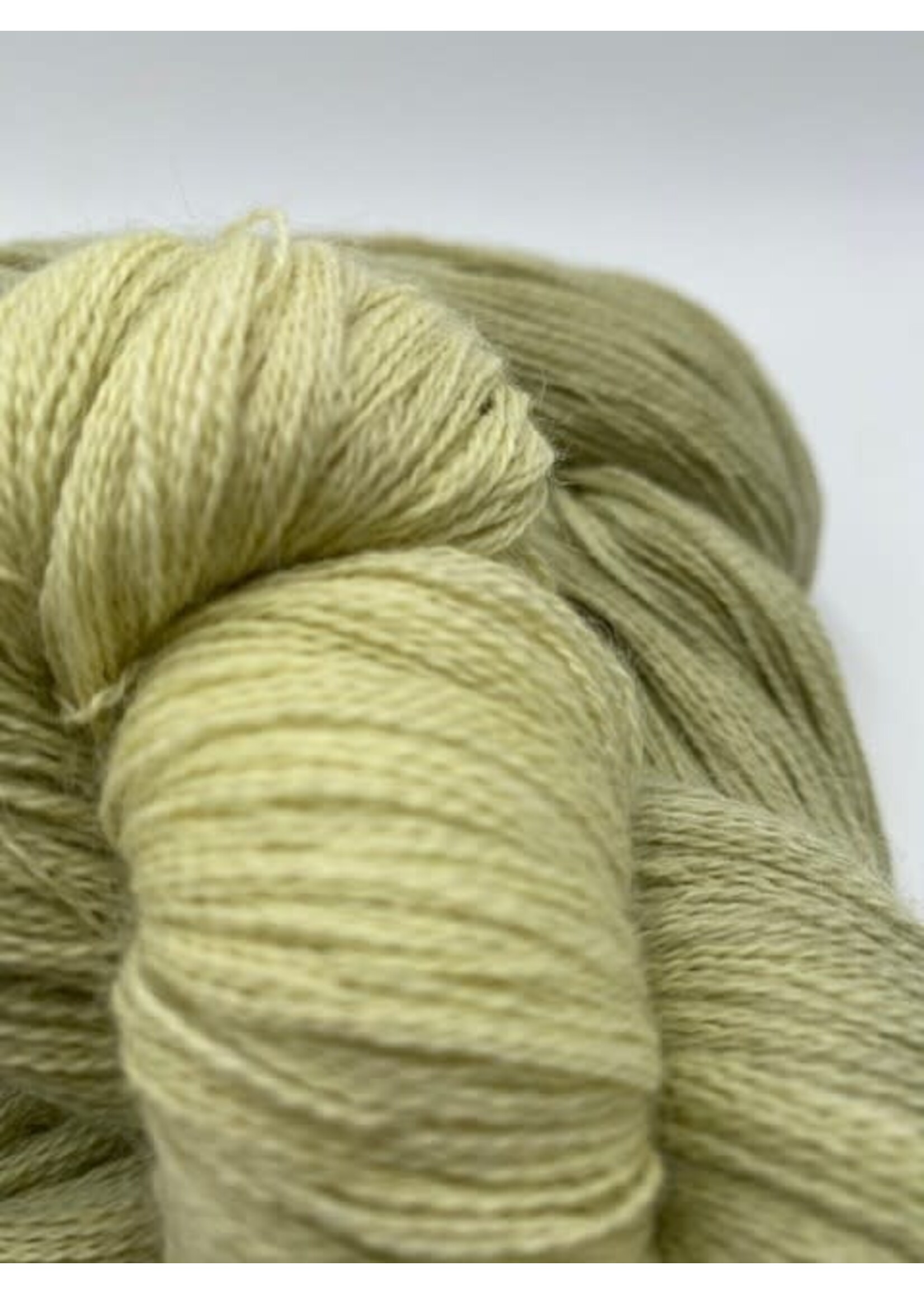 Workshop Wol kleuren met planten