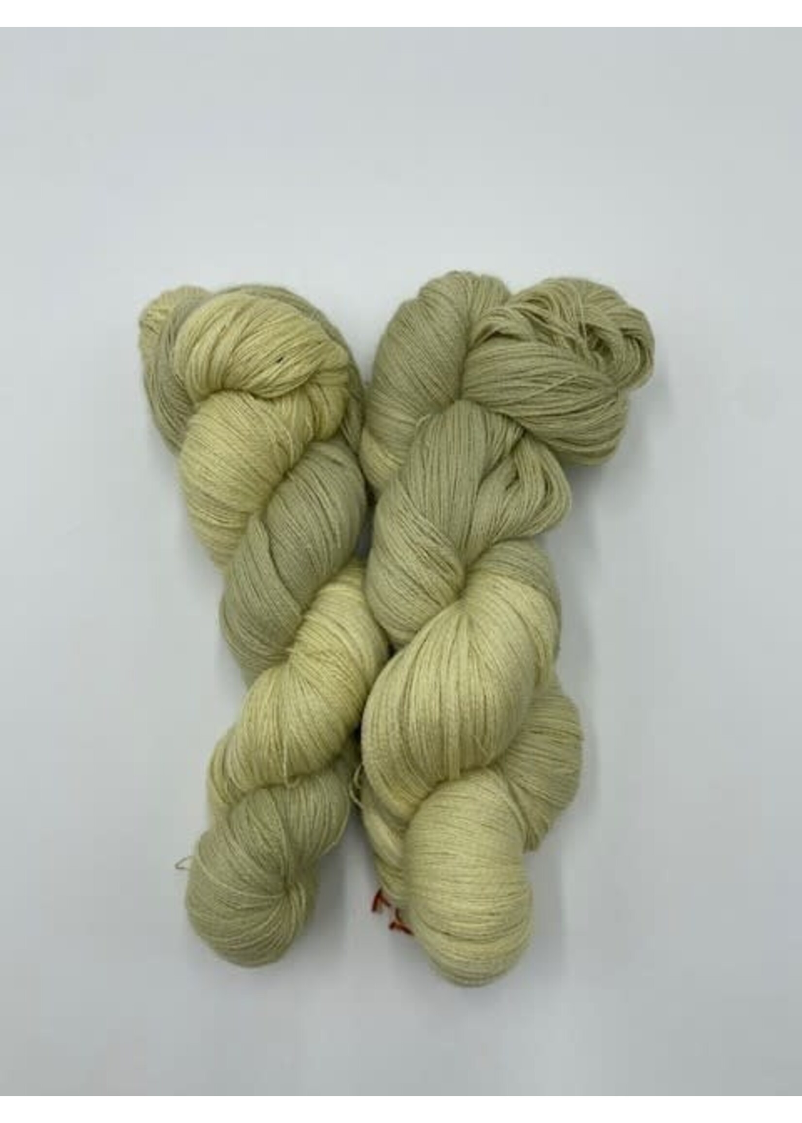 Workshop Wol kleuren met planten