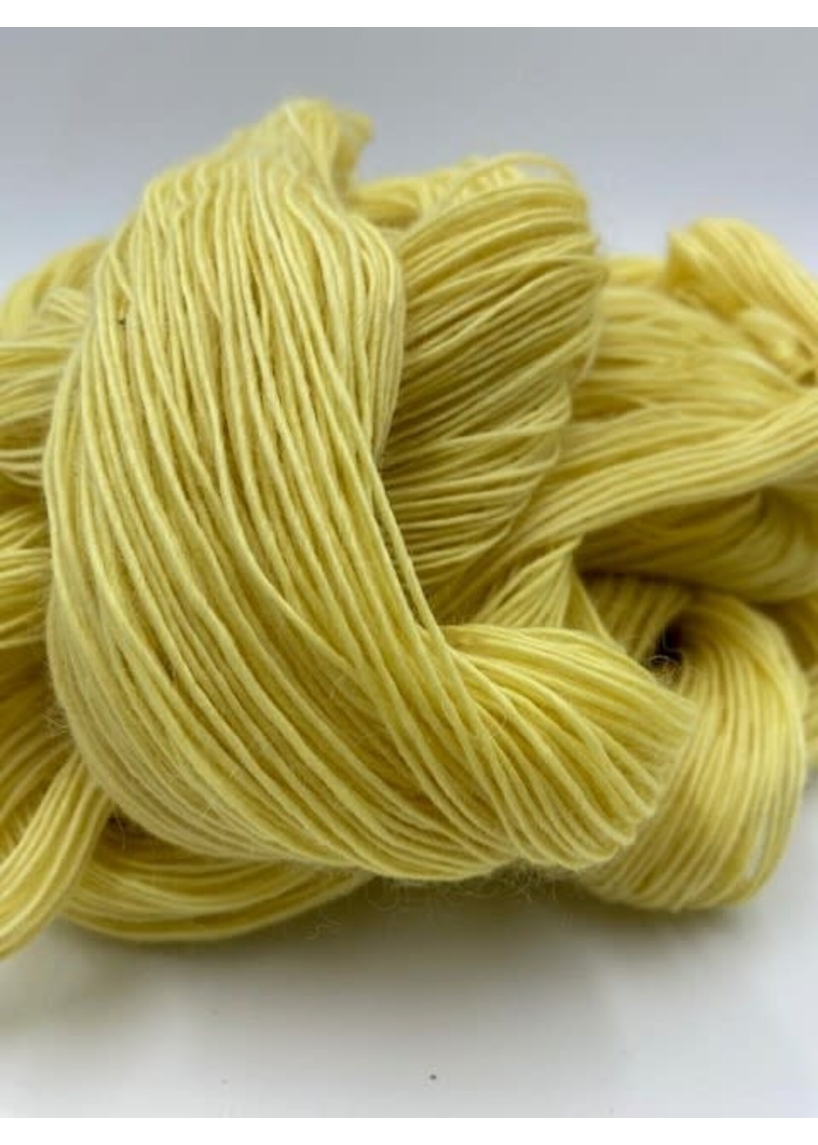 Workshop Wol kleuren met planten