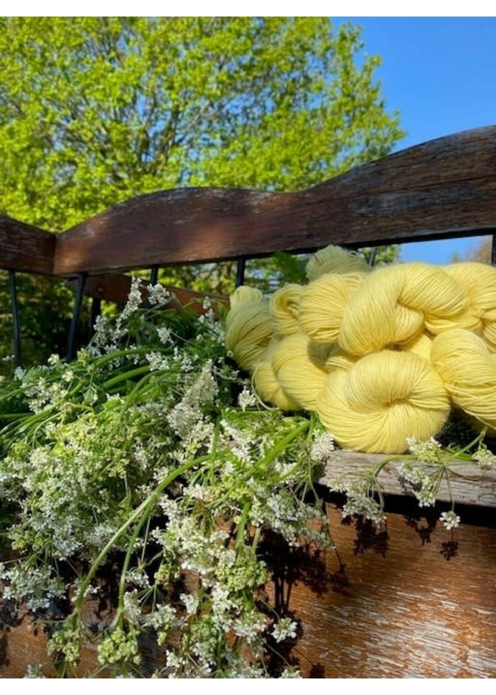 Workshop Wol kleuren met planten