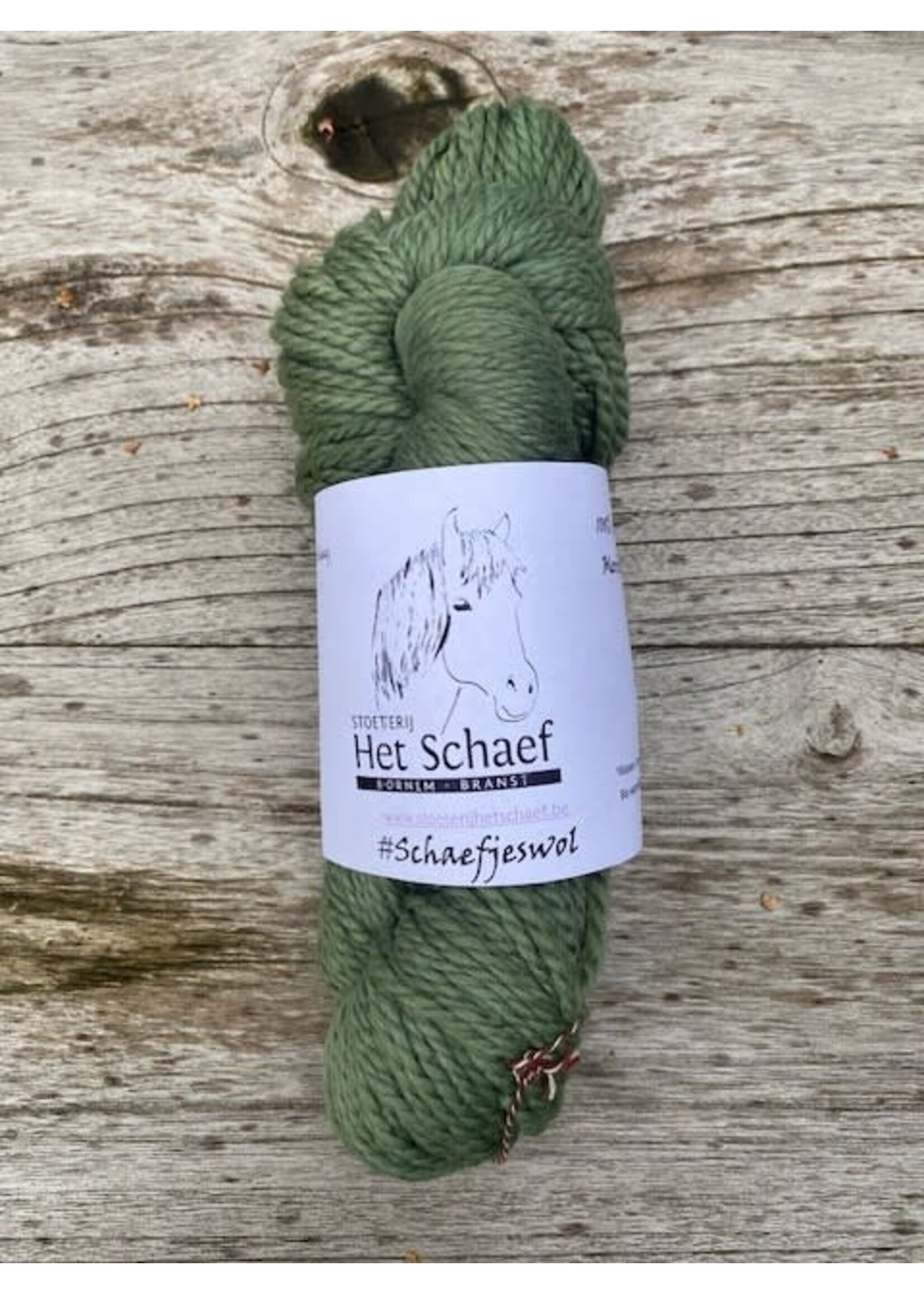 Workshop Wol kleuren met planten