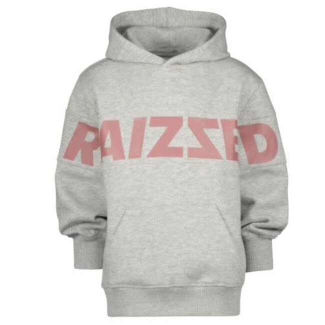 Raizzed RAIZZED R22KGN34008 NEWARK SWEATER LIGHT GREY