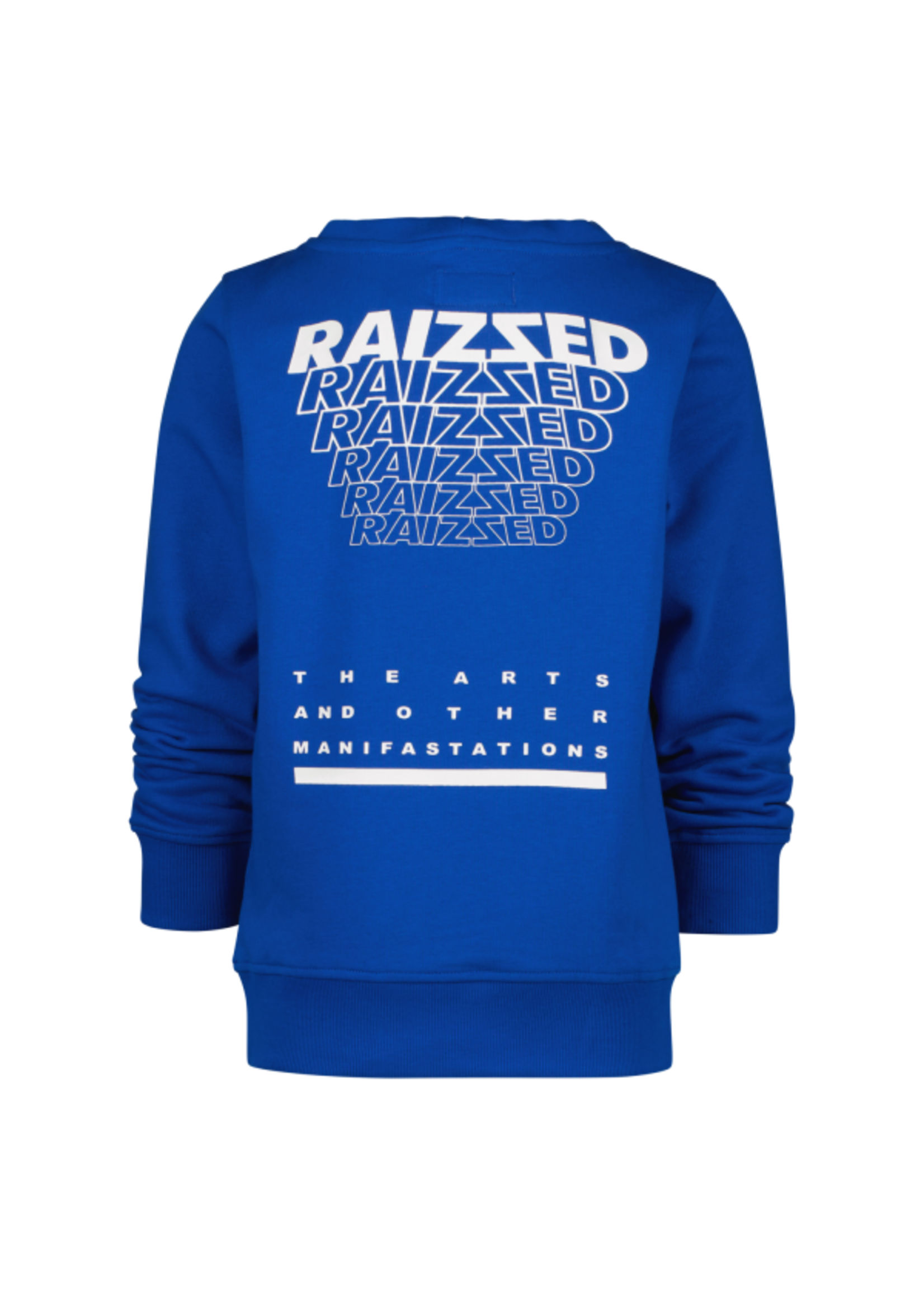 Raizzed RAIZZED R22KBN34011 WARREN HOODIE REFLEX BLUE