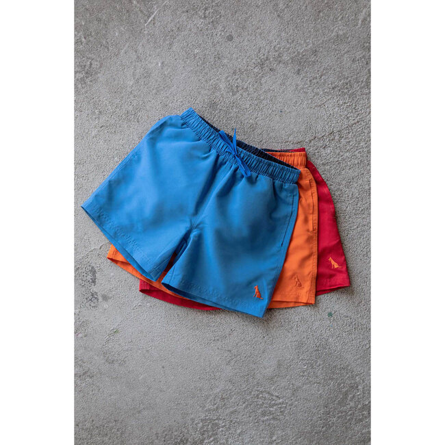 Tygo & Vito TYGO & VITO XNOOS-6612-135 BEACHSHORT BOBBY SKY BLUE