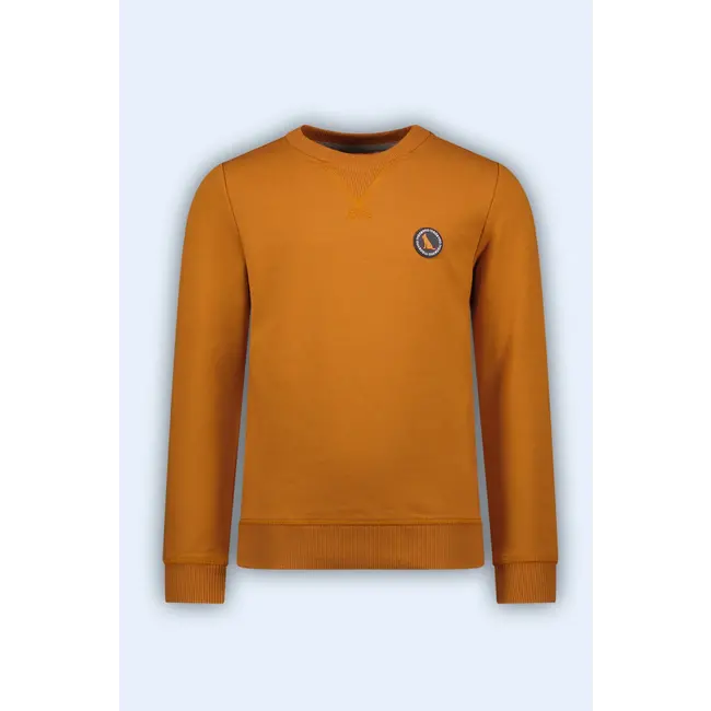 Tygo & Vito TYGO & VITO X408-6311-420 SWEATER SILVER CLAY BROWN