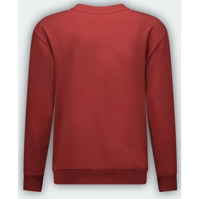 Tygo & Vito TYGO & VITO X409-4306-217 DAAN SWEATER RED