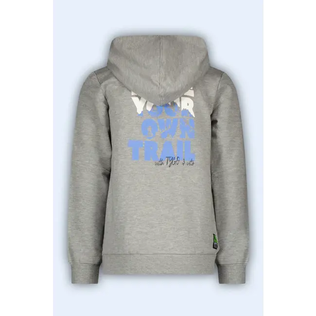 Vingino TYGO & VITO X409-6339-700 HOODIE HELD GREY MELEE