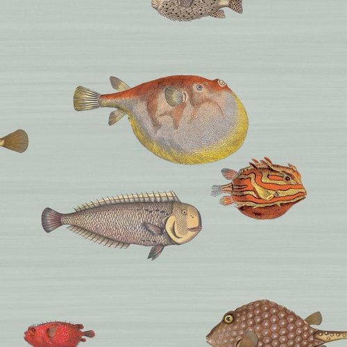 Cole & Son Acquario
