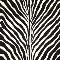 Zebra Charcoal