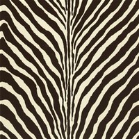 Zebra Chocolate