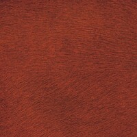 Indomptée 'Natives'