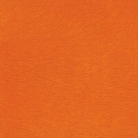 Indomptée 'Natives'