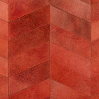 Montage Coral