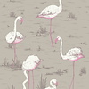 Flamingos