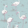 Flamingos