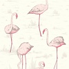 Flamingos