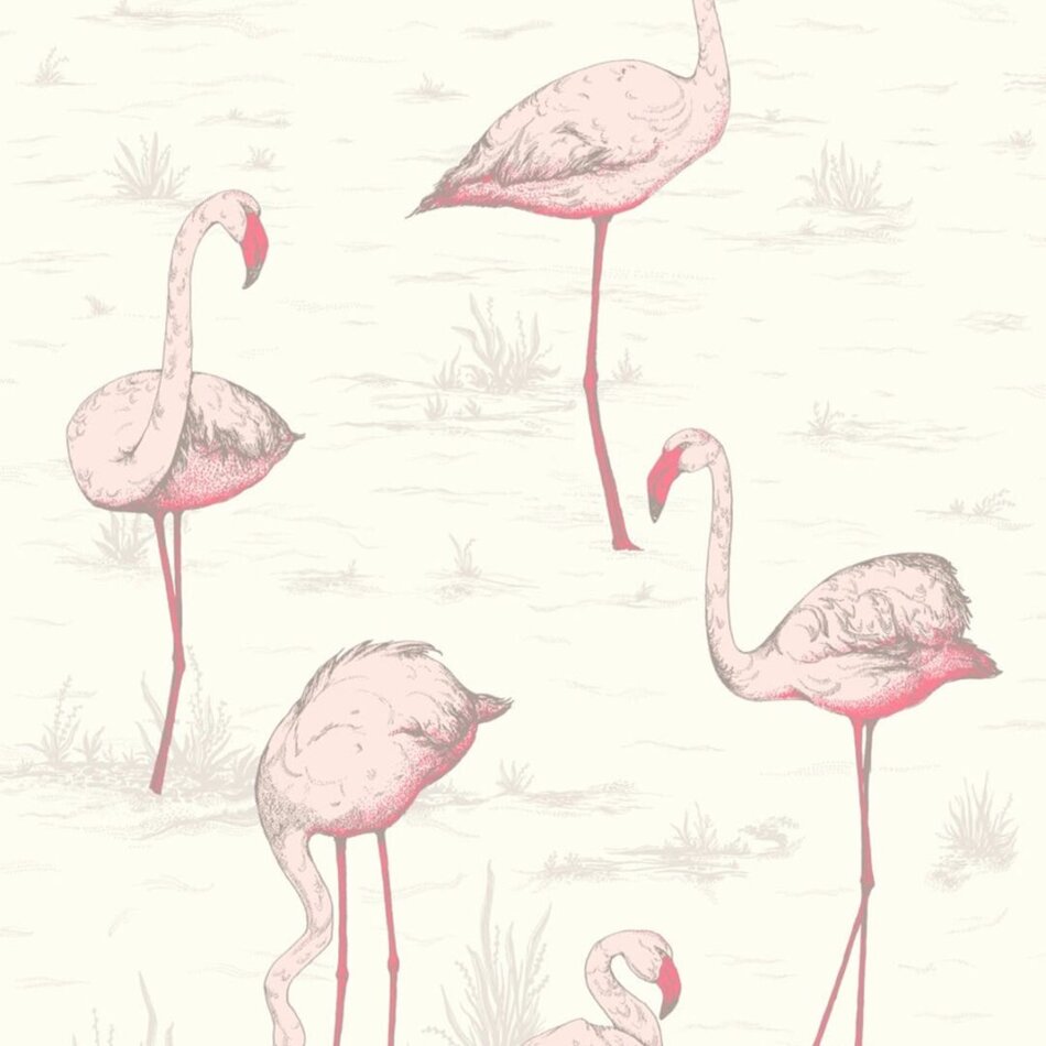 Cole & Son Flamingos