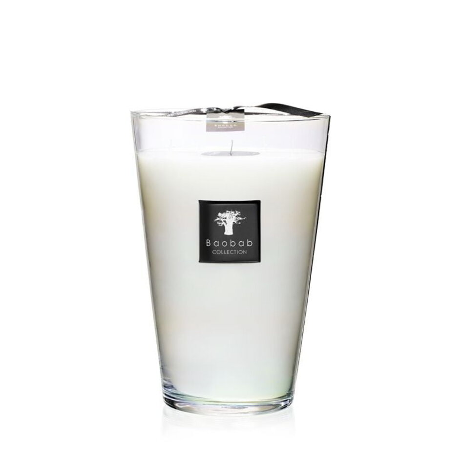 Baobab Madagascar Vanilla max 35 Baobab Madagascar Vanilla max 35