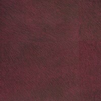 Troubler les Esprits