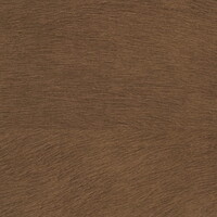 Son meilleur Trophée