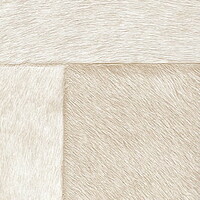 Au Delà des Grands Lacs