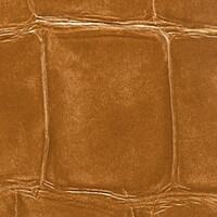 Un Fumeur de la Havane