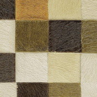 Une Discipline Fantasque