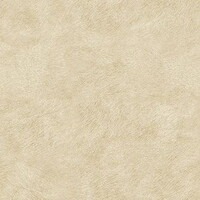 Indomptée 'Tribeca'