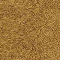 Tatouée d'Or