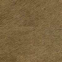 Conscient de sa Valeur