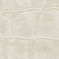 Désir de Cohérence