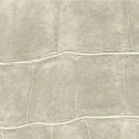 Soucieuse de son Image