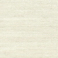 Un Igloo Scintillant