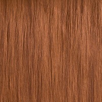 Sa Principale Richesse