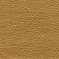 Briller de Mille Feux