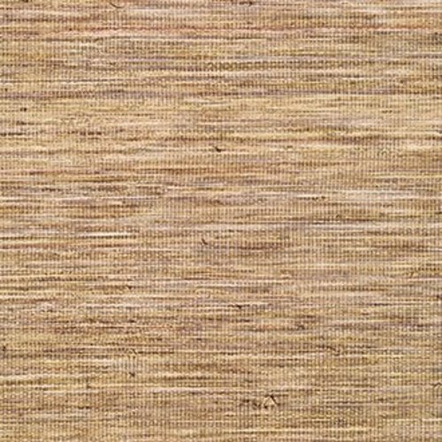 Élitis Musa Élitis Musa