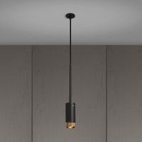 Hangende Spot Exhaust Pendant Graphite Brass