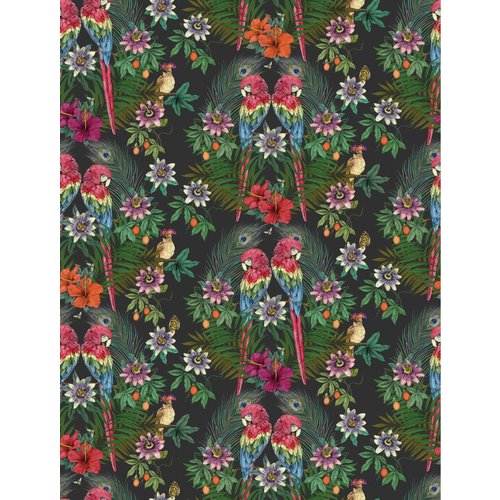 Matthew Williamson Ventura